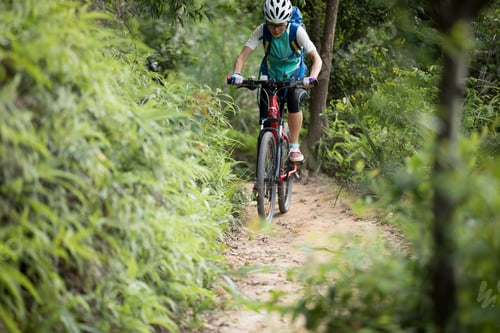 Preview: Cross country biking woman cycling in the forest