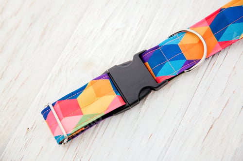 Preview: Dog Collar and Leash set. Pet Supplies and Walking Gear Collection
