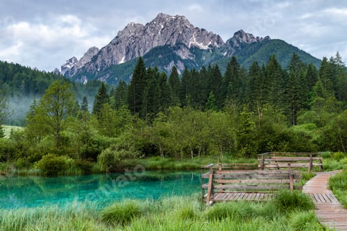 Preview: Magical Sunrise Scene at Zelenci Natural Reserve in Slovenia