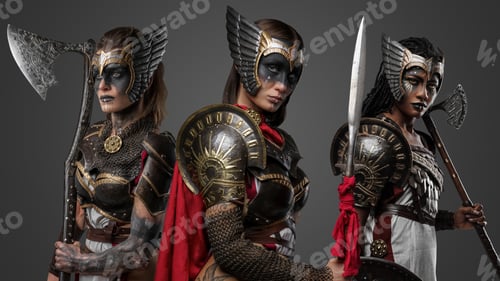Preview: Multiethnic group of female warriors with cold steel