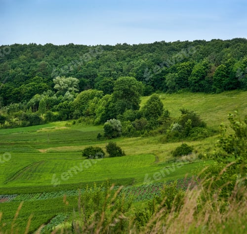 Preview: top view of groves and meadows with agricultural fields