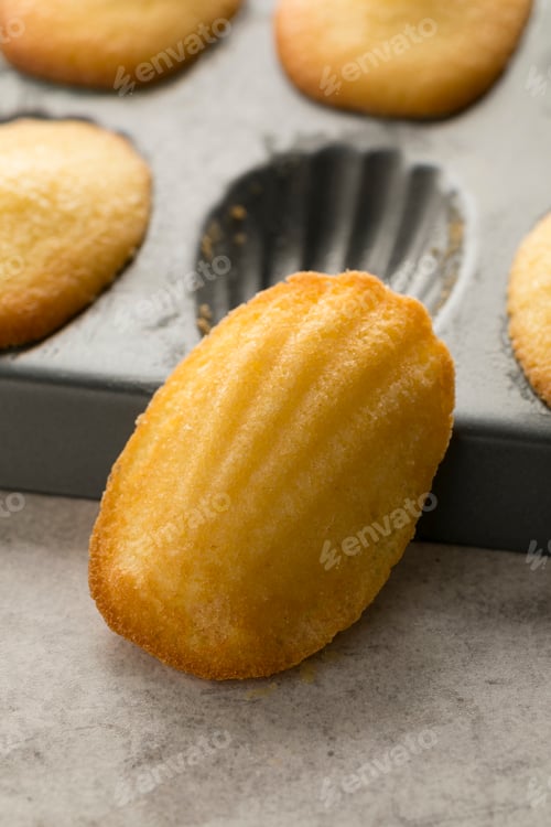 Preview: Fresh baked French madeleines
