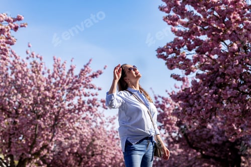 Preview: woman among pink sakura blossoms illuminated by the sun against a blue sky background