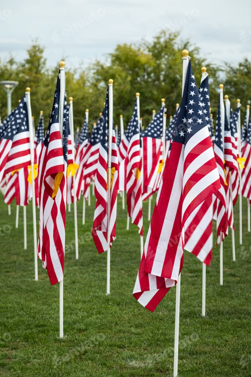 Preview: Field of Veterans Day American Flags Waving in the Breeze.