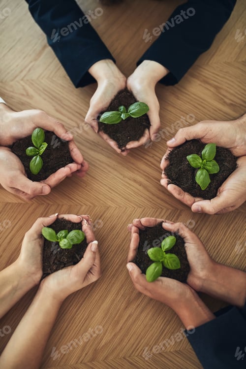 Preview: Nurturing the company from birth