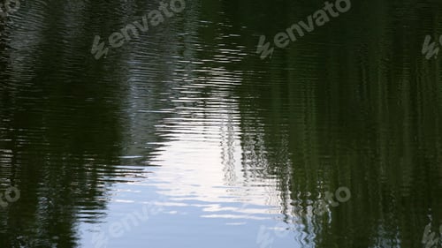 Preview: Water Reflections - Photograph Of Reflections In A Pond. The Reflections Are Of The Clouds, And A