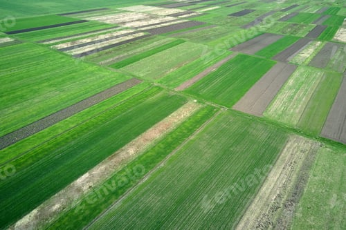 Preview: Aerial landscape of green farmland in summer season with growing crops.