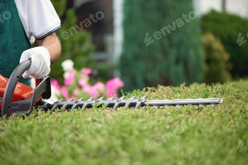 Preview: Close up of gargener trimming bushes
