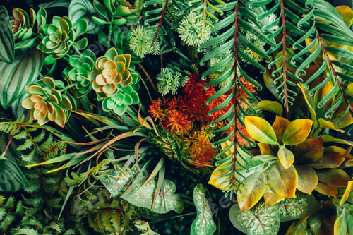 Preview: Close up group of background tropical green leaves texture and abstract background.