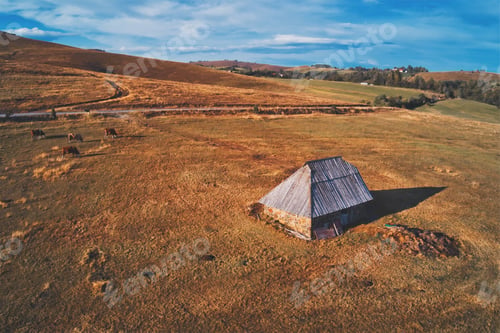Preview: Traditional cowherds's cottage on pasture field on mount Zlatibor in Serbia