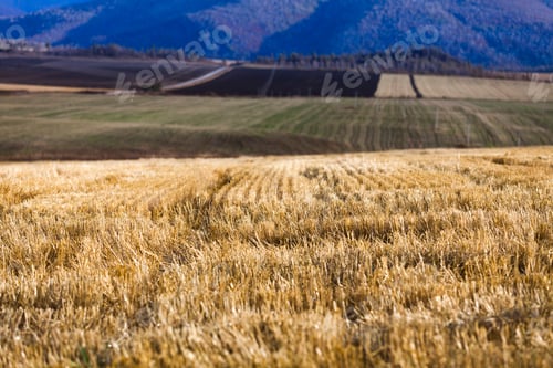 Preview: Rural scene in Inner Mongolia province,China