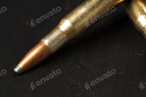 Preview: Close up of cartridges for hunting shotgun