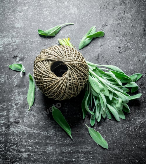 Preview: Salvia with old twine.