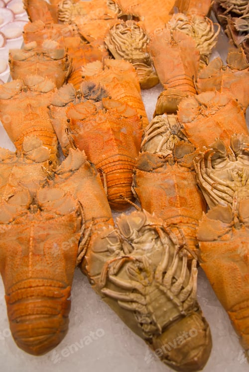 Preview: Balmain bugs
