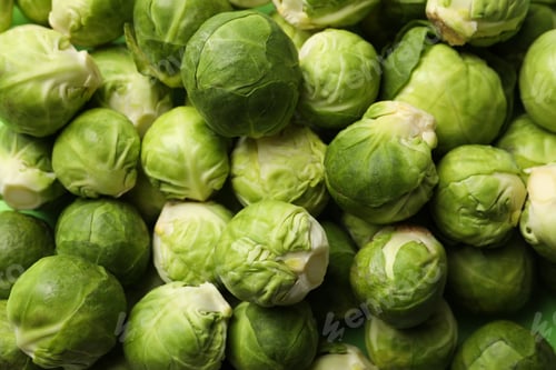 Preview: Fresh green brussels sprout texture background, close up