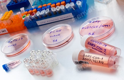Preview: bat coronavirus ZC45 on petri dish, COVID-19 study in laboratory, conceptual image