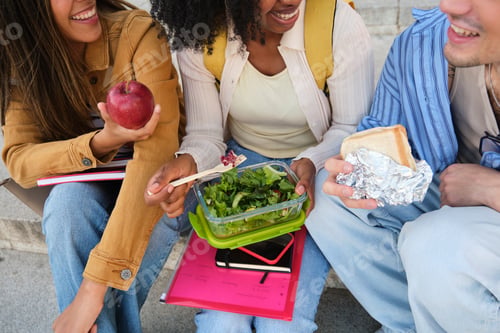 Preview: University students sharing healthy lunch break outdoors