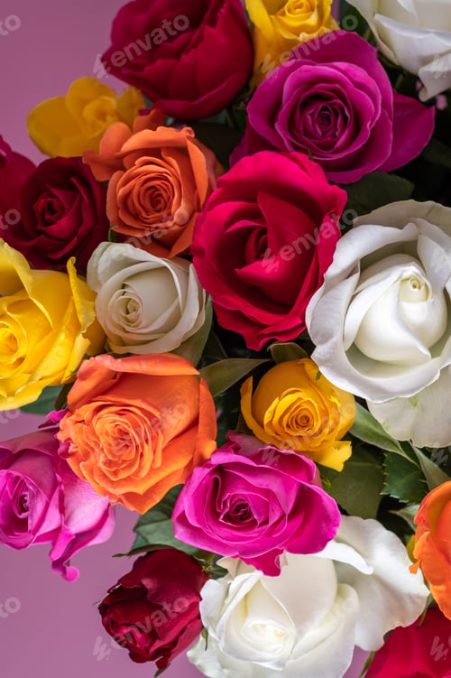 Preview: Bunch of colorful roses