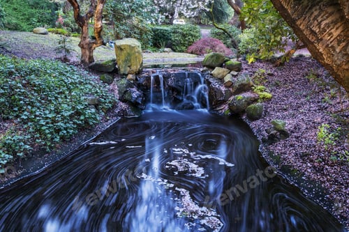 Preview: Spring in park