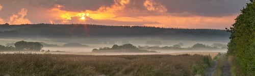 Preview: Fog, sundset and landscape