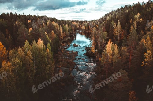 Preview: Aerial view of a river flowing through a green pine forest under a cloudy blue sky