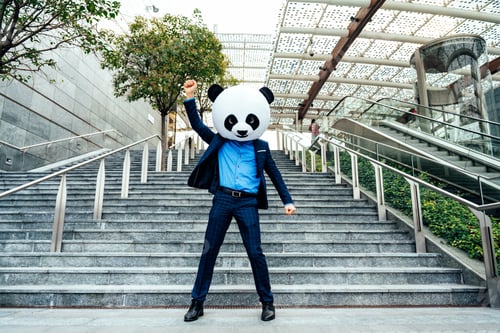 Preview: Storytelling image of a business man wearing a giant panda head