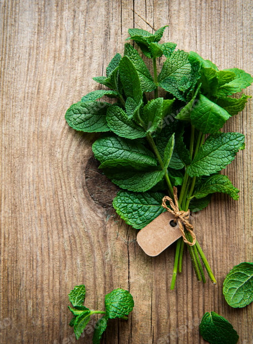 Preview: Fresh mint leaves