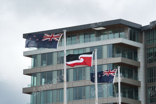 Preview: Flag of the Maori between the flag of New Zealand near a modern building