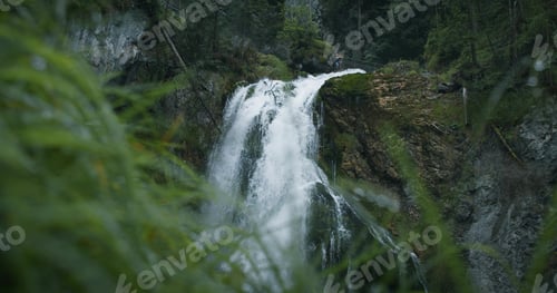 Preview: National park over high watefall. mountain river in the forest.