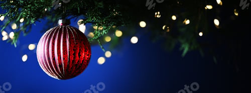 Preview: Christmas tree branch with red bauble
