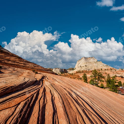 Preview: Landscape in Zion National Park