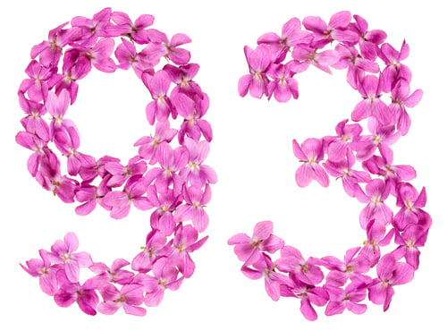 Preview: Arabic numeral 93, ninety three, from flowers of viola, isolated on white background