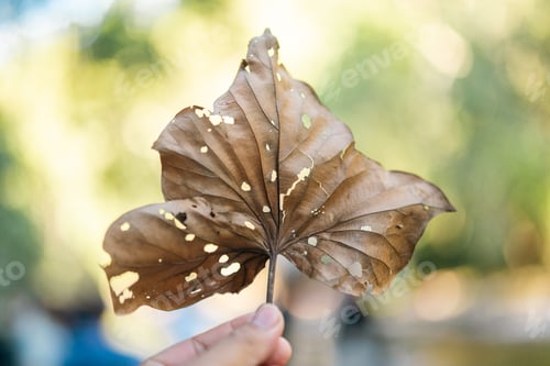 Preview: Refreshing Landscape of Green Foliage, Trees, and Flowers in the Summer Garden