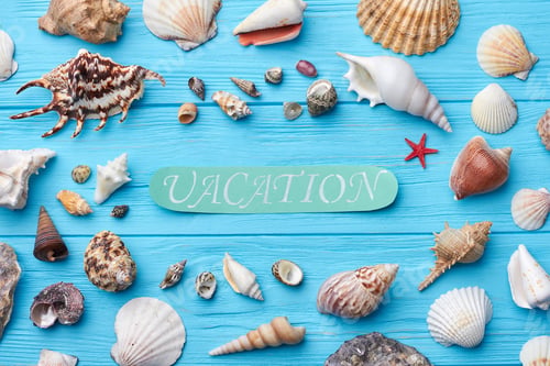 Preview: Different sea shells, painted background