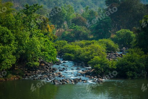 Preview: tropical waterfall