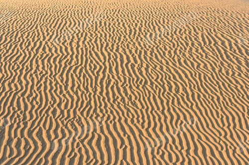 Preview: Pattern of golden sand in the desert