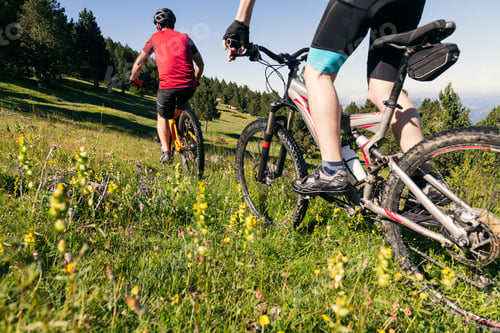 Preview: rear view of two men riding their mountain bike
