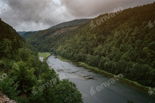 Preview: Misty River Through a green Forest in summer