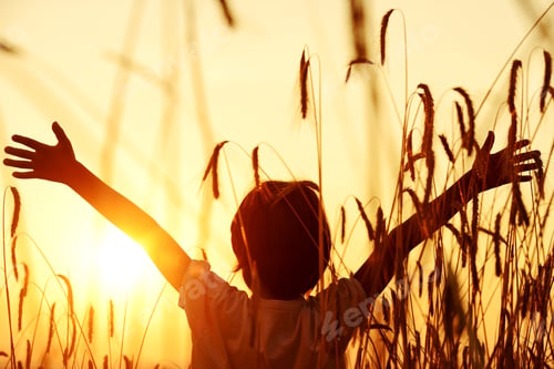 Preview: Kid At Wheat Field