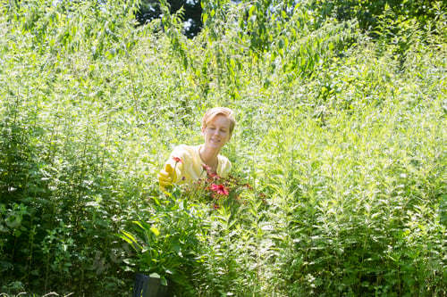 Preview: A woman standing in flowers and tall plants at a commercial nursery.