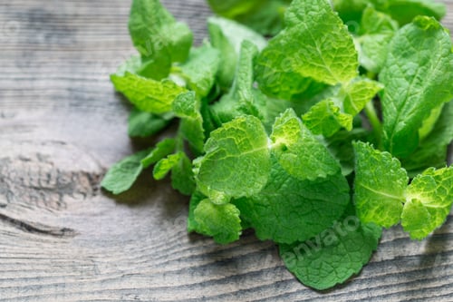 Preview: Fresh mint leaves on wooden table, horizontal, copy space