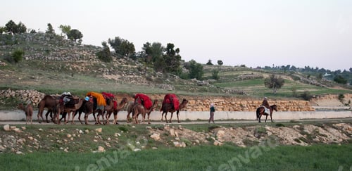 Preview: nomadic people with animals