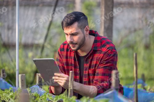 Preview: Veggie farm owner uses tablet to monitor growth and foster sustainable agriculture in a greenhouse
