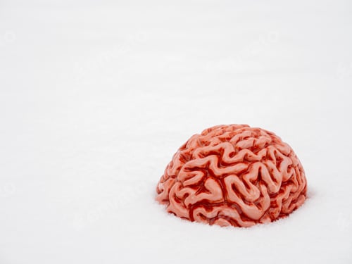 Preview: Human brain in a snow in winter.