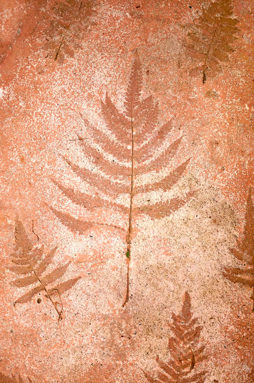Preview: Leaf Print On Natural Style Cement Texture