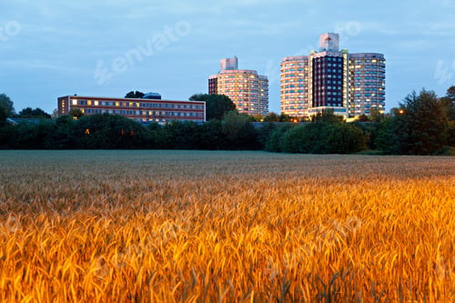 Preview: Hospital Building And Wheat Field, Germany