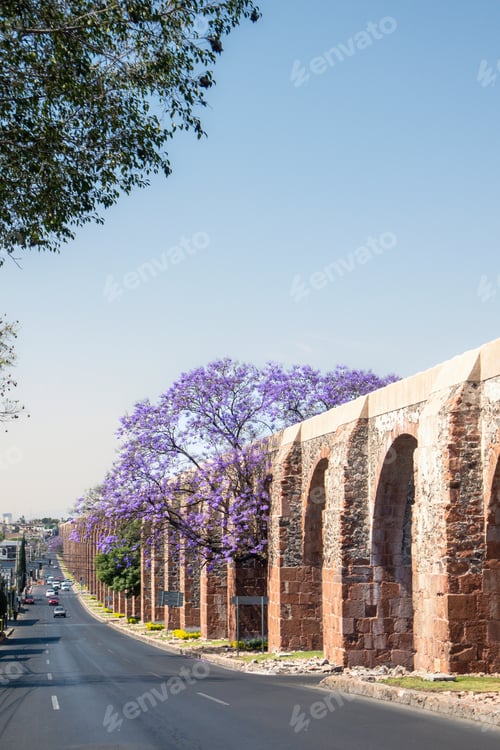 Preview: Queretaro Mexico aqueduct with jacaranda tree and purple flowers