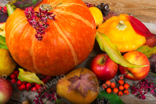Preview: Fall background with orange pumpkin, yellow squash, pear