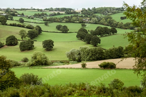 Preview: View over a farmed landscape, valleys and hills green with crops, grassland and trees.