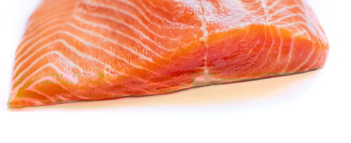 Preview: Fresh Salmon Fillet Close-Up on White Background